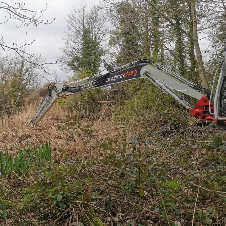 Woodland Walkway Management Suffolk